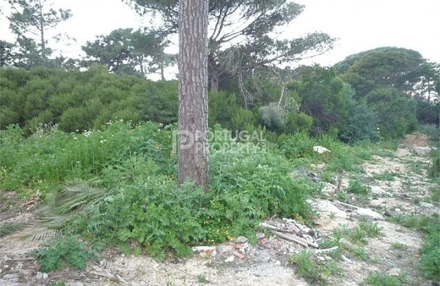 Fantastic plot with about 1900m2 in..
