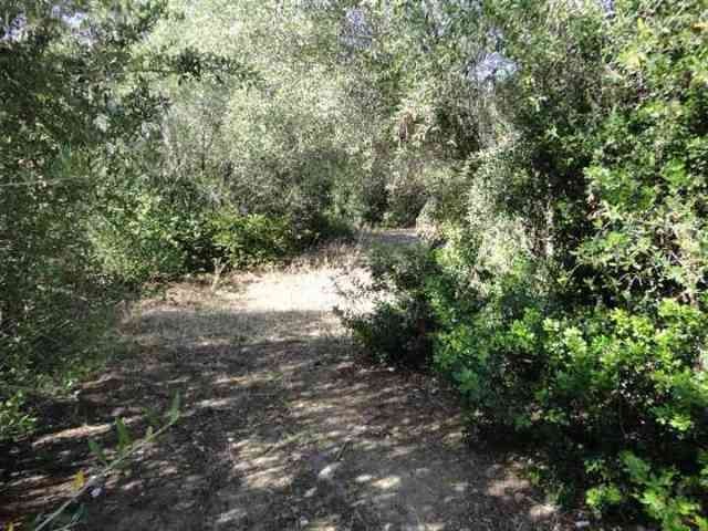 - Land - For Sale - 2