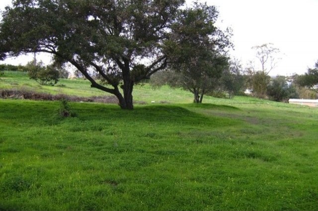502 E Elder Fallbrook, California 92028..
