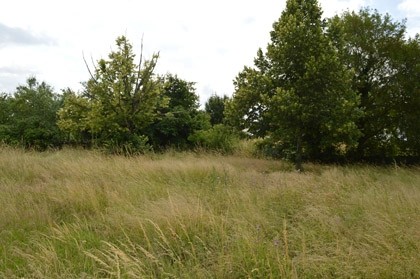 Super building plot of 3023m2 - 5 mins.. - 2