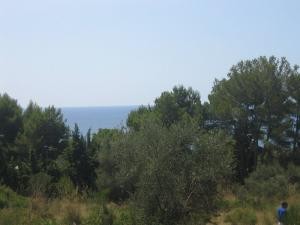 Costa de los Pinos, fantastic plot for.. - 2