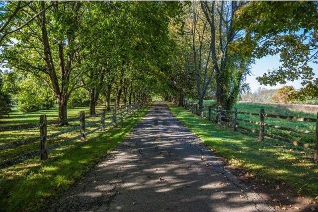Land For Sale: 1 Griffin Ln