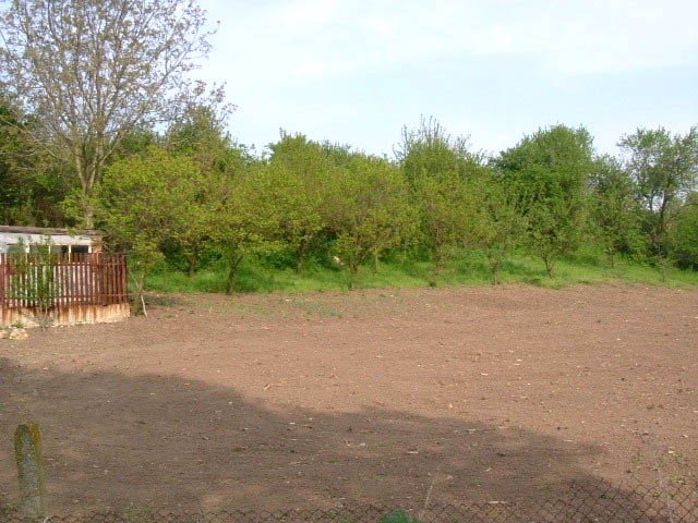 Land in Polkovnik Geshanovo, Dobrich