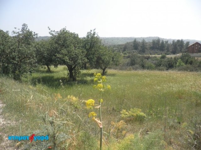 Residential Land in Lysos, Pafos - 2