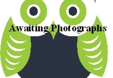 Property Wise - Estate Agents Isle of..