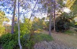 - Land - For Sale