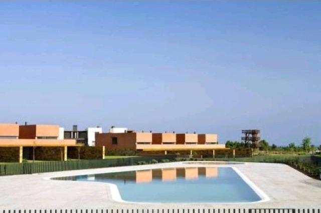 Flat T1