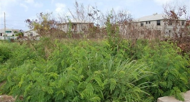 Property For Sale: Mangrove Lot 27, St... - 2