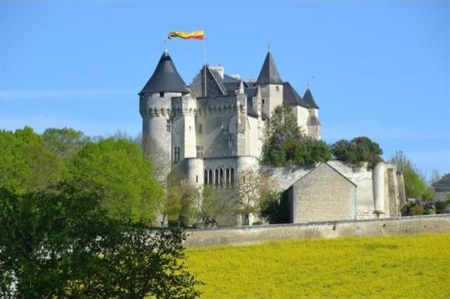 Castle For Sale: 86000 EN VIENNE
