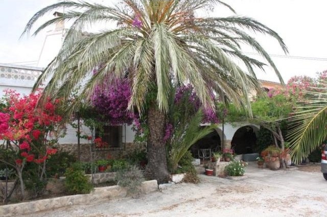 5 Bedrooms - Finca - Alicante - For Sale - 2