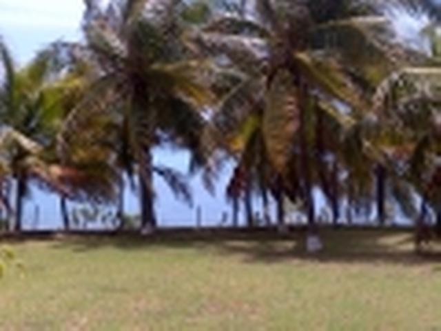 Hotel - Treasure Beach - For Sale - 2