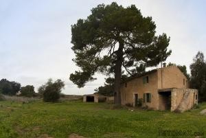 Son Servera, finca with house that must..