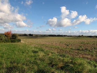 Site