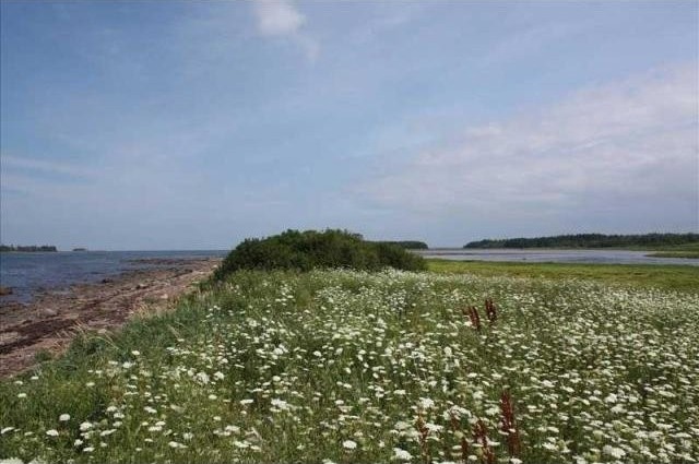 Land For Sale: 1127 Blue Sea Road.. - 2