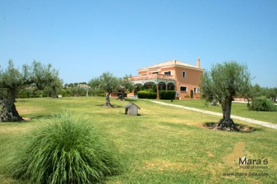 Horseproperty Grand Equestrian Estate..