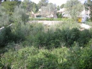 Plot, about 600 metres to the sea - 2