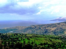 South Crete Property