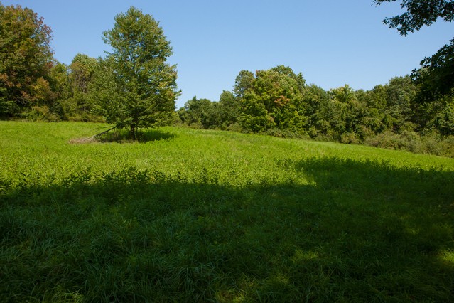 Land For Sale: Union Vale, New York - 2
