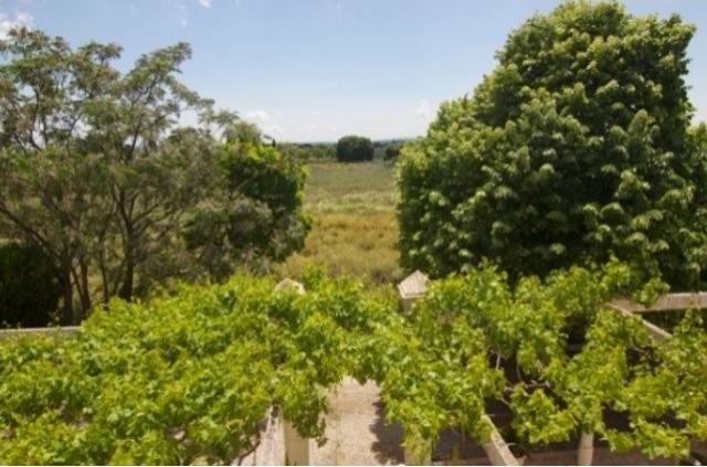 Nice Charming Finca With Beautiful.. - 2