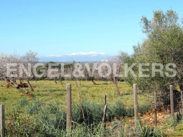 Dream plot of land with stunning views..
