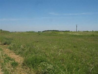 Site - 2