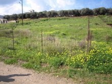 Plot For Sale In Crete, Kissamos - 2