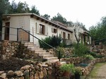 3 Bedrooms - Finca - For Sale