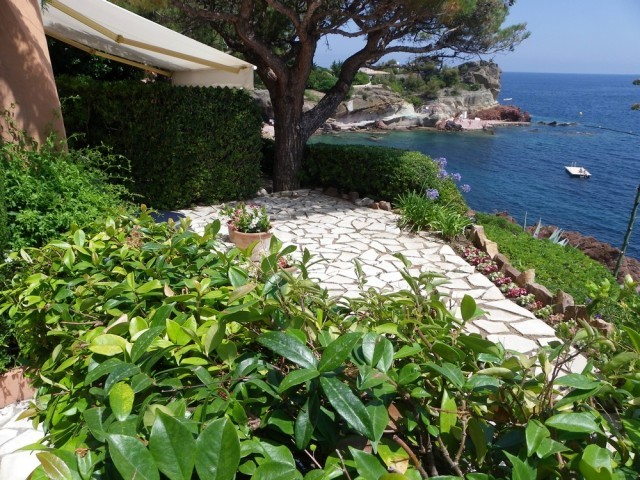 Omg. Cannes - 2