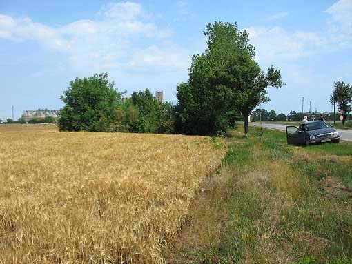 Land in Balchik - 2