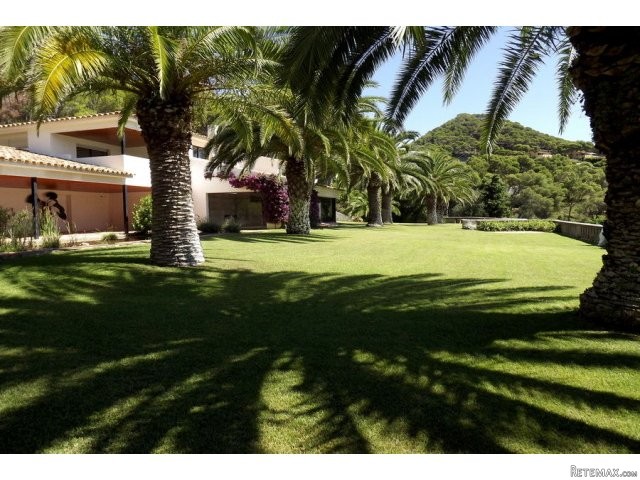 Property with 17.000m2 of land just 200..