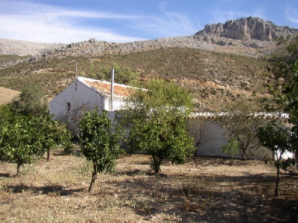 Villa - A traditional Spanish cortijo..