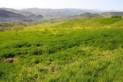 Stunning piece of land with amazing.. - 2