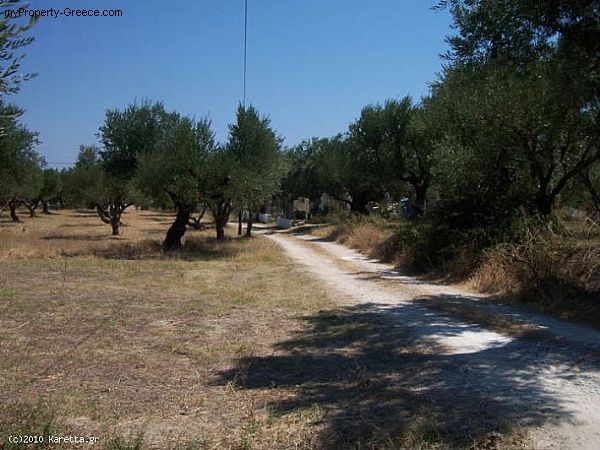 Land - Zakynthos - For Sale - 2