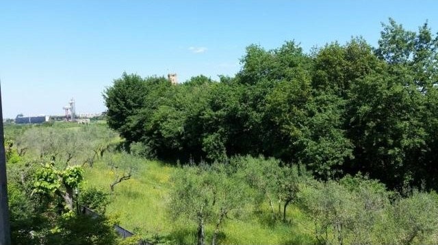 2 Bedrooms - Apartment - For Sale - 2