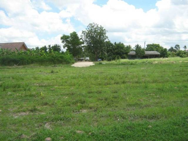 Huai Yai building plot of 800 sqm, nice.. - 2