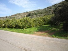 Land For Sale In Crete