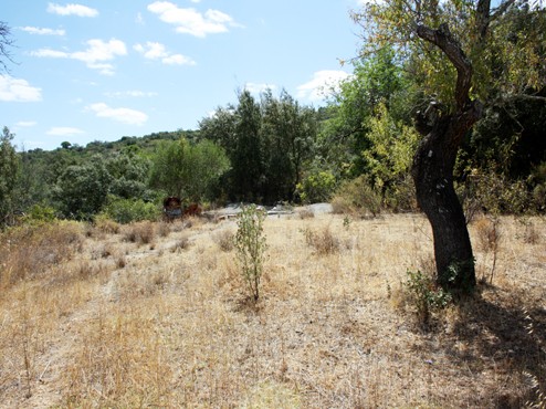 Land - Plot of almost 4 acres with..