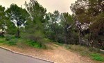 - Land - For Sale
