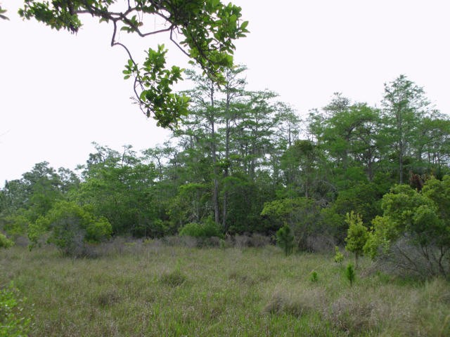 Land For Sale: Tbd Govan - 2