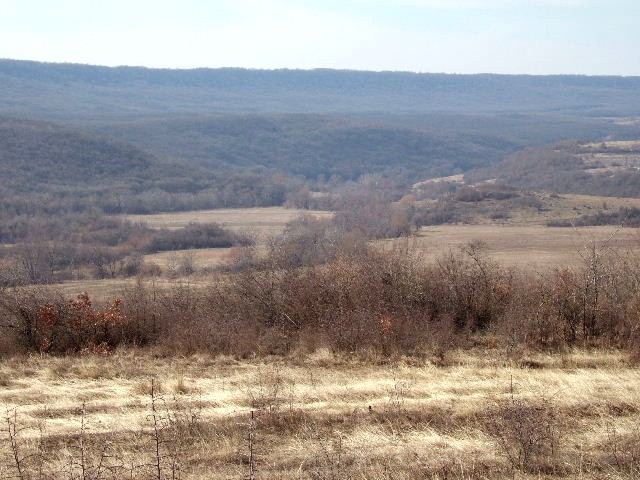 Land in Tsarkva, Albena - 2