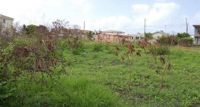 Property For Sale: Mangrove Lot 27, St...