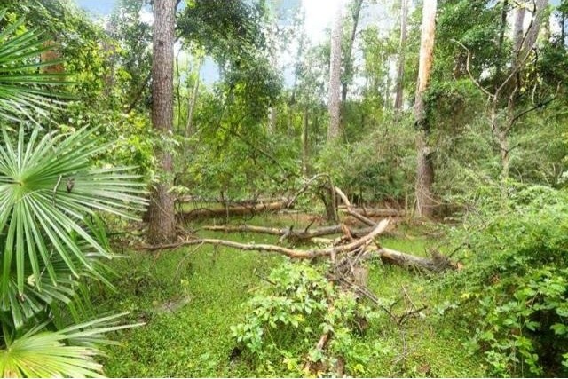 Land For Sale: Home - 2