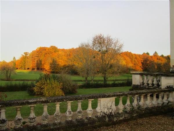 Immaculate Restored Touraine Chateau - 2