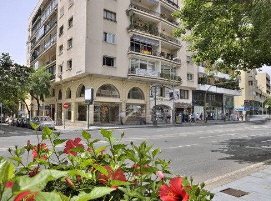 Office for sale in Marbella Centro..