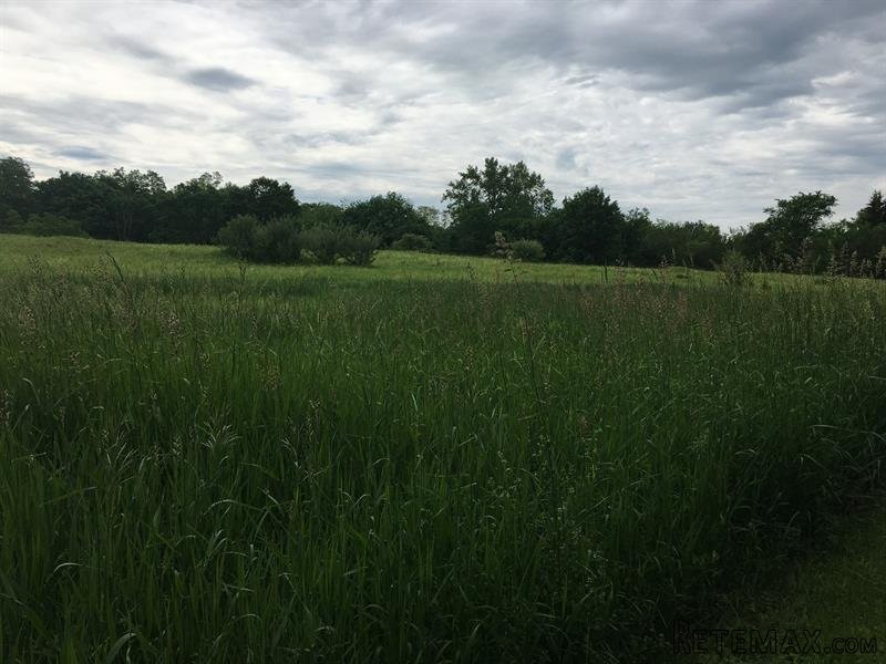 Land For Sale: 376 Cold Spring Rd..