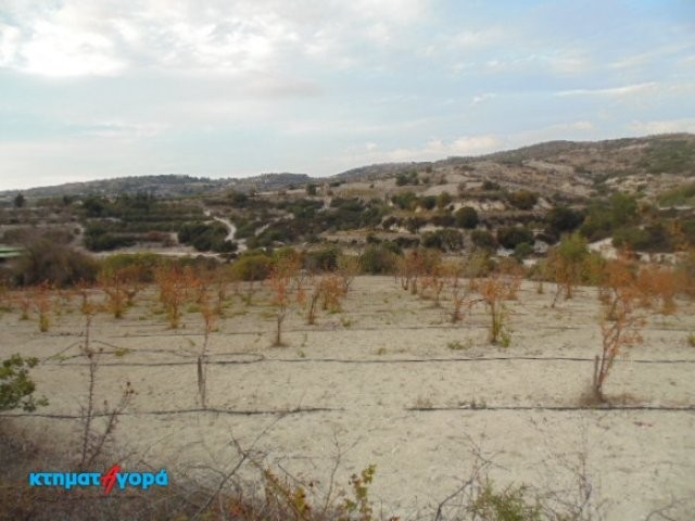 Agricultural Land in Psathi, Pafos - 2