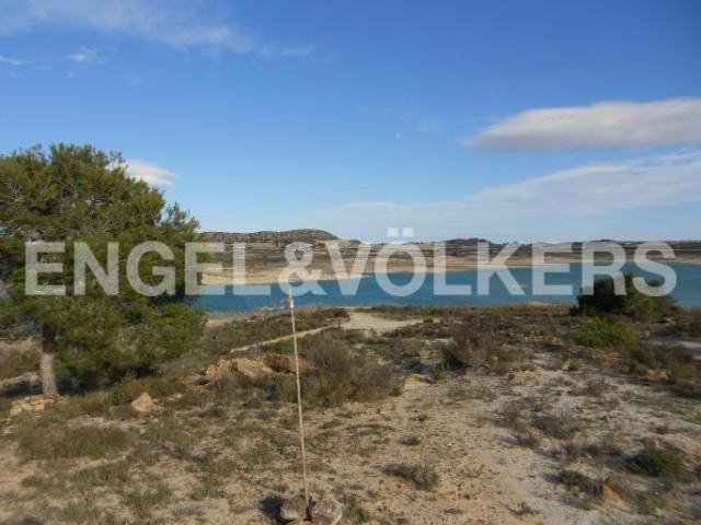 LARGE PLOT IN THE PEDRERA LAKE - 2