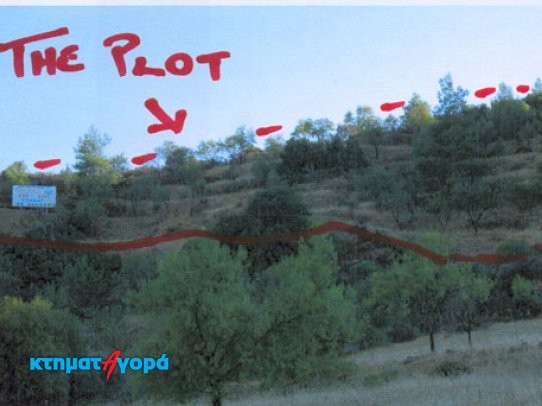 Residential Land in Lysos, Pafos - 2