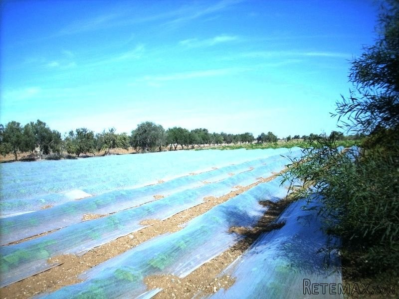 - Land - Larnaca - For Sale - 2