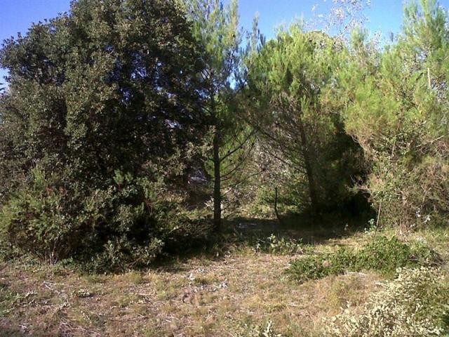 House For Sale: 17880 LES PORTES EN RE - 2